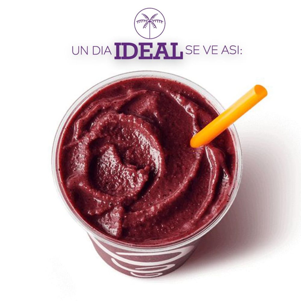 Palmazonia Pure Acai 500gr