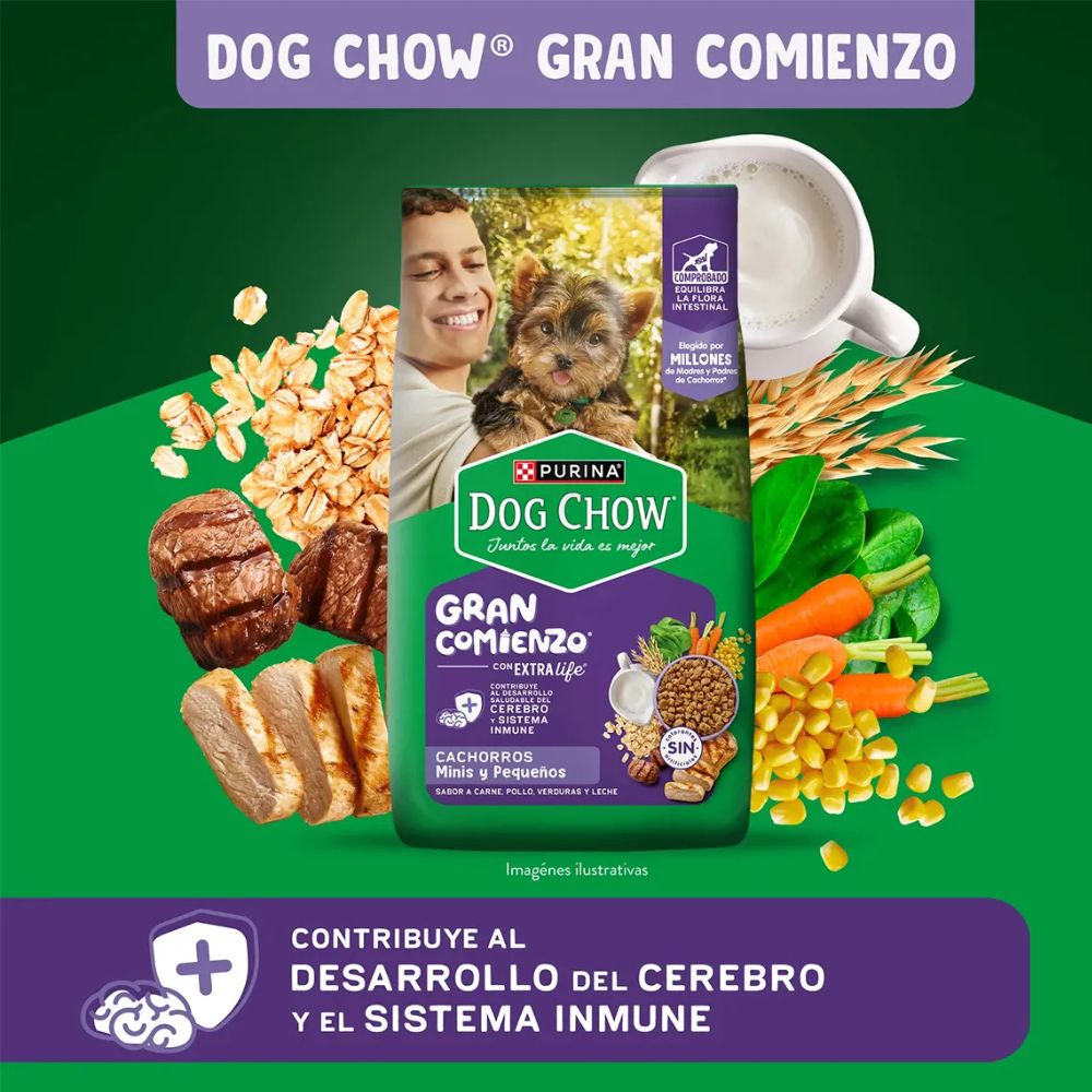 Dog Chow Comida Gran Comienzo Cachorros Minis y Pequeños Sabor a Carne Pollo Frutas y Leche 2kg