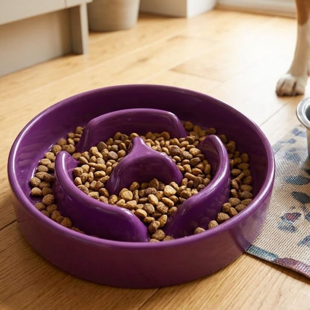 Brezza Pet Plato para Mascotas para Comer Lento 175ml