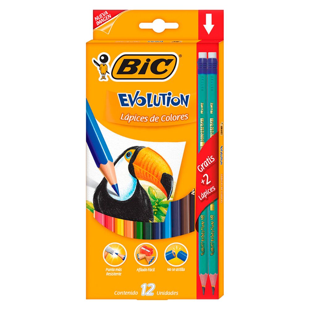 Bic Lapices de Colores Evolution 12 colores