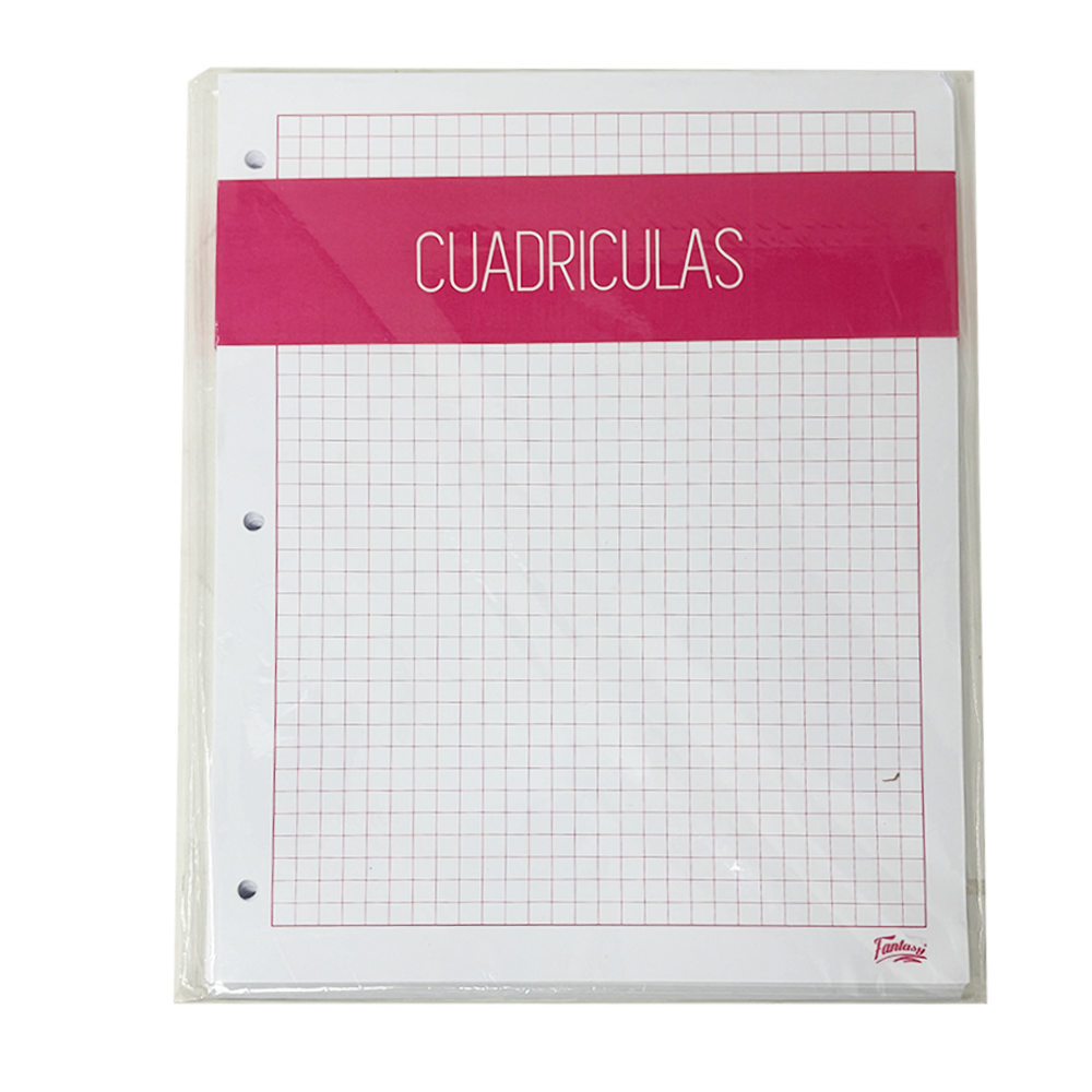Fantasy Hojas Cuadriculas Tamaño Carta 80 Und