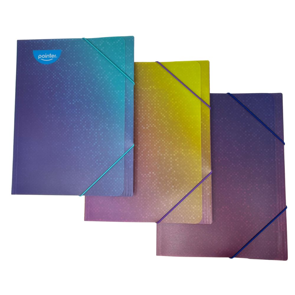 Pointer Capeta Con Ligas Tamaño A4 Colores Surtidos