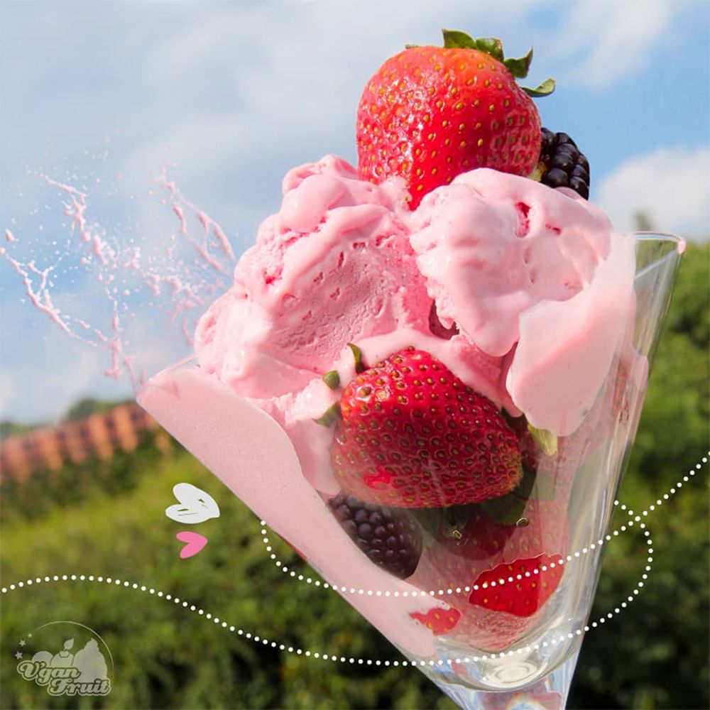 V'gan Fruit Helado Frutos del Bosque 500ml