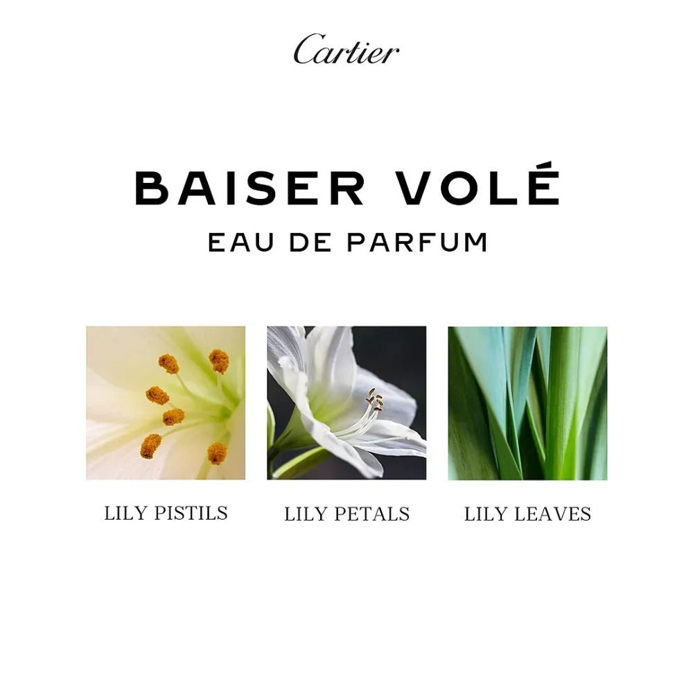 Macy's 12 Days Of Luxury Beauty Advent Calendar 2025