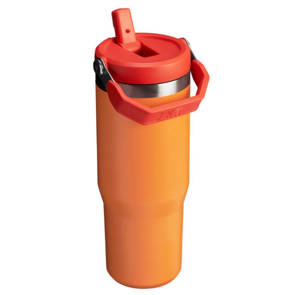 Stanley Termo The Iceflow Flip Straw Tumbler 30oz Plum GoldenRod