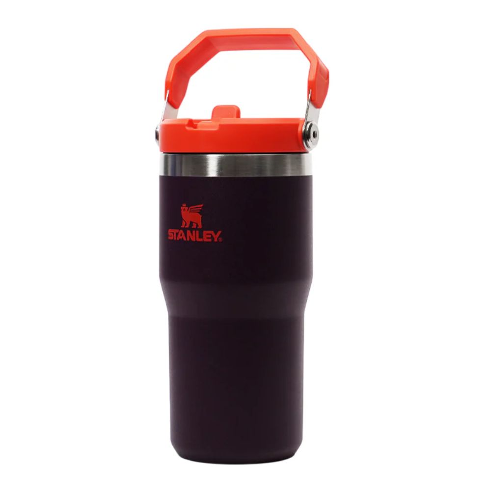 Stanley Termo Classic Flip Straw Tumbler Color Plum 20oz