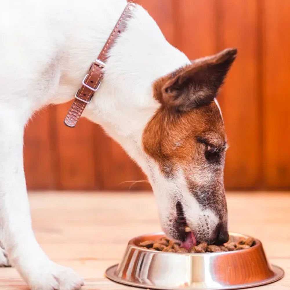 Super Can Adultos Carne Nacional 2 kg