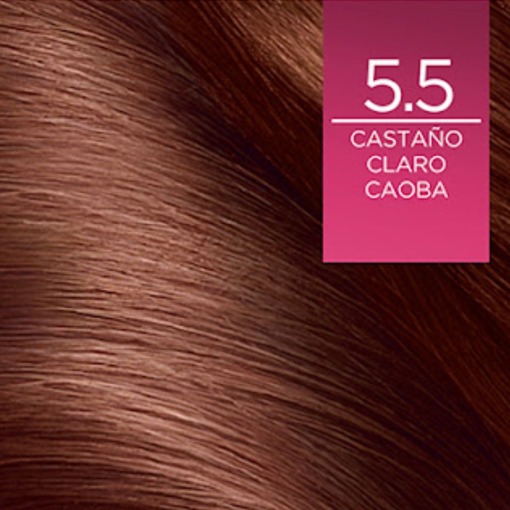Tinte L'Oreal Excellence Creme 5.5 Castaño Claro Caoba