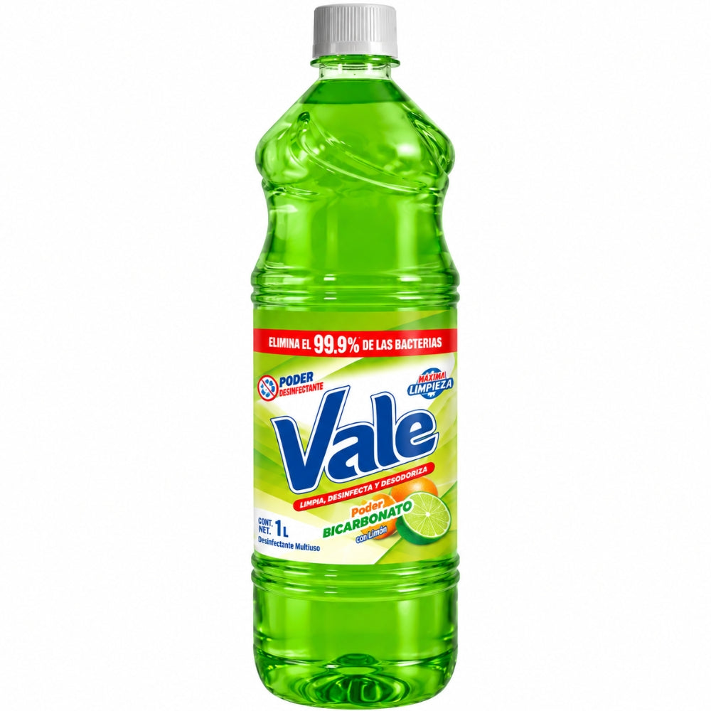 Vale Desinfectante Multiuso Poder Bicarbonato Citrus 1L