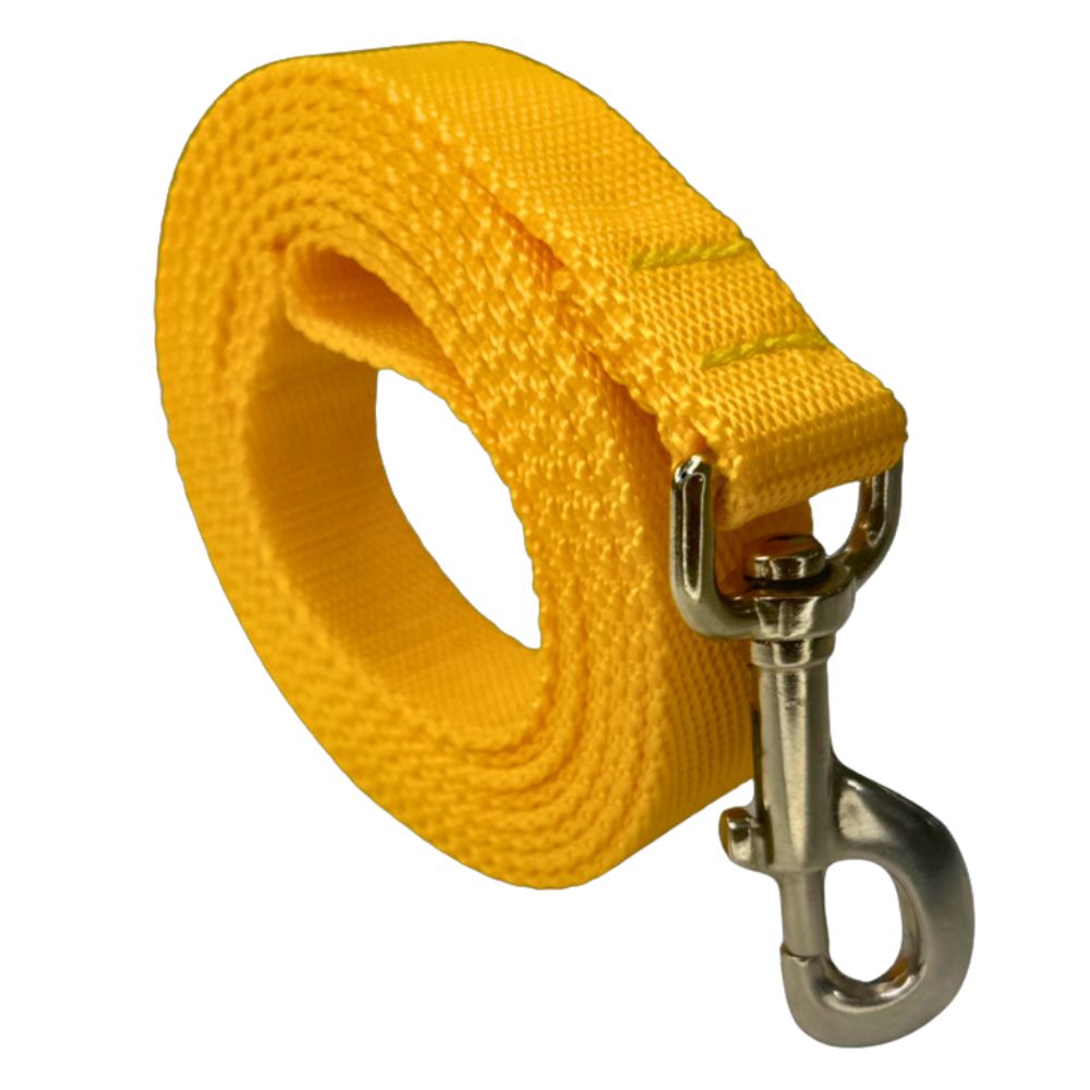 Correa de Paseo Reforzada para Perro 1.04m