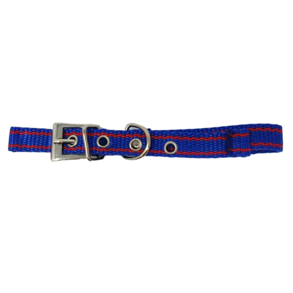 Collar para Perro 41cm