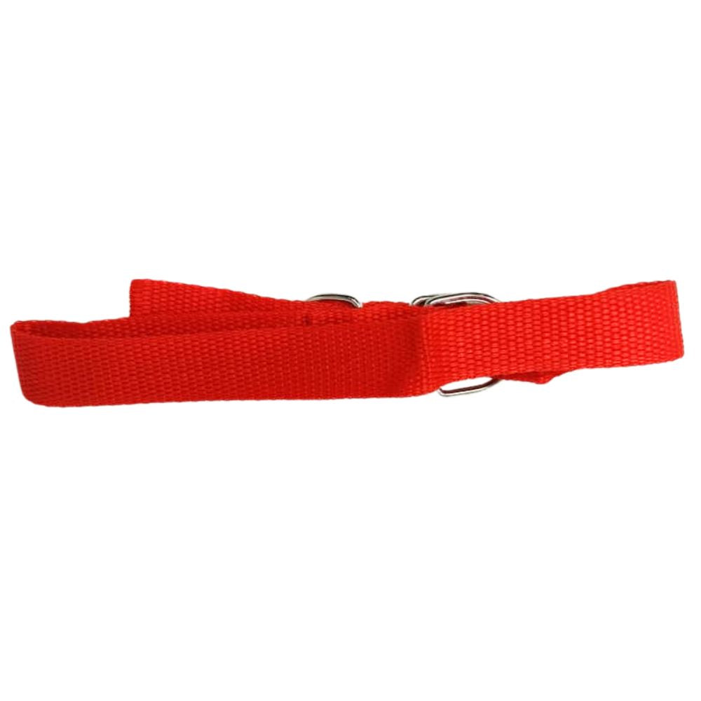 Collar para Perro 56cm