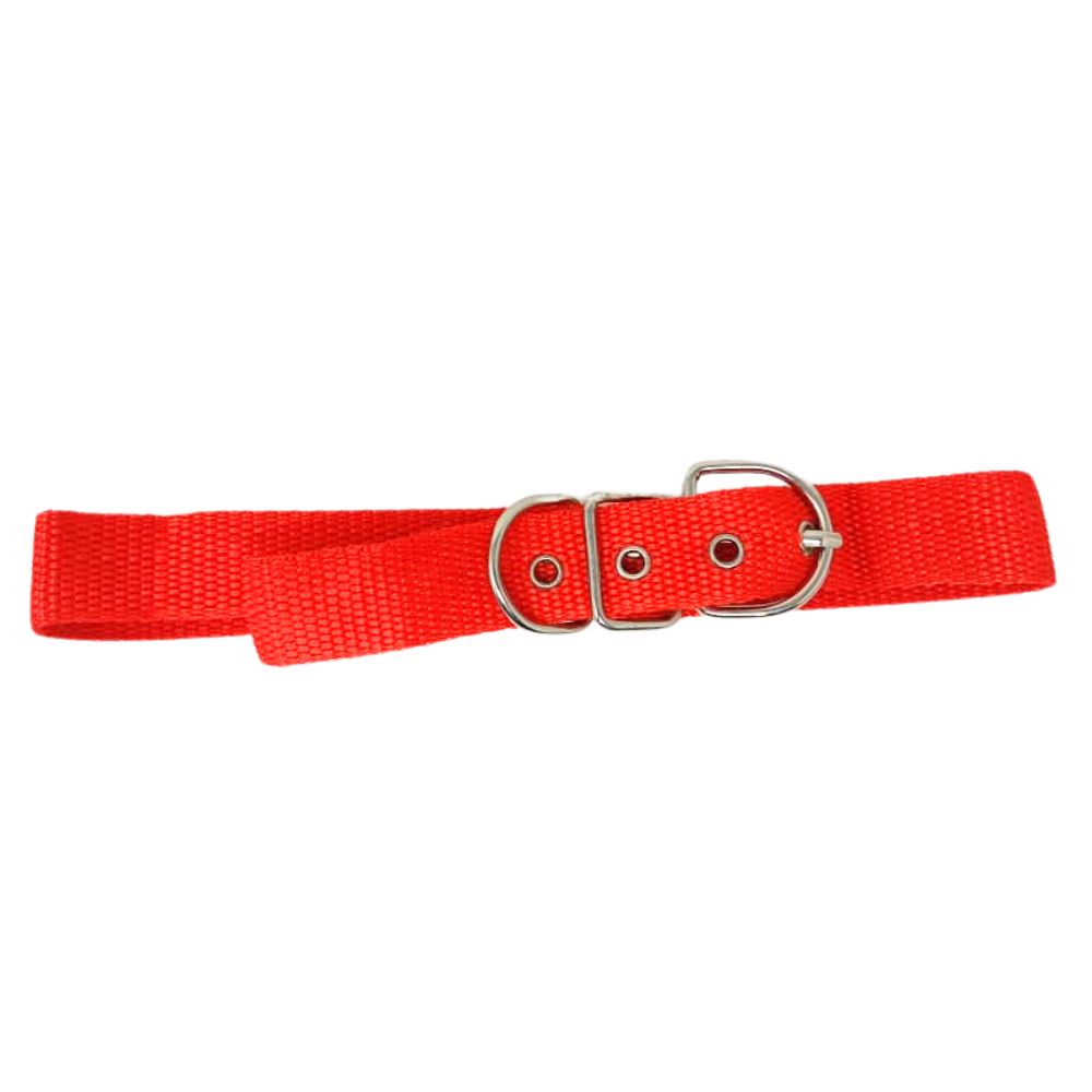Collar para Perro 56cm