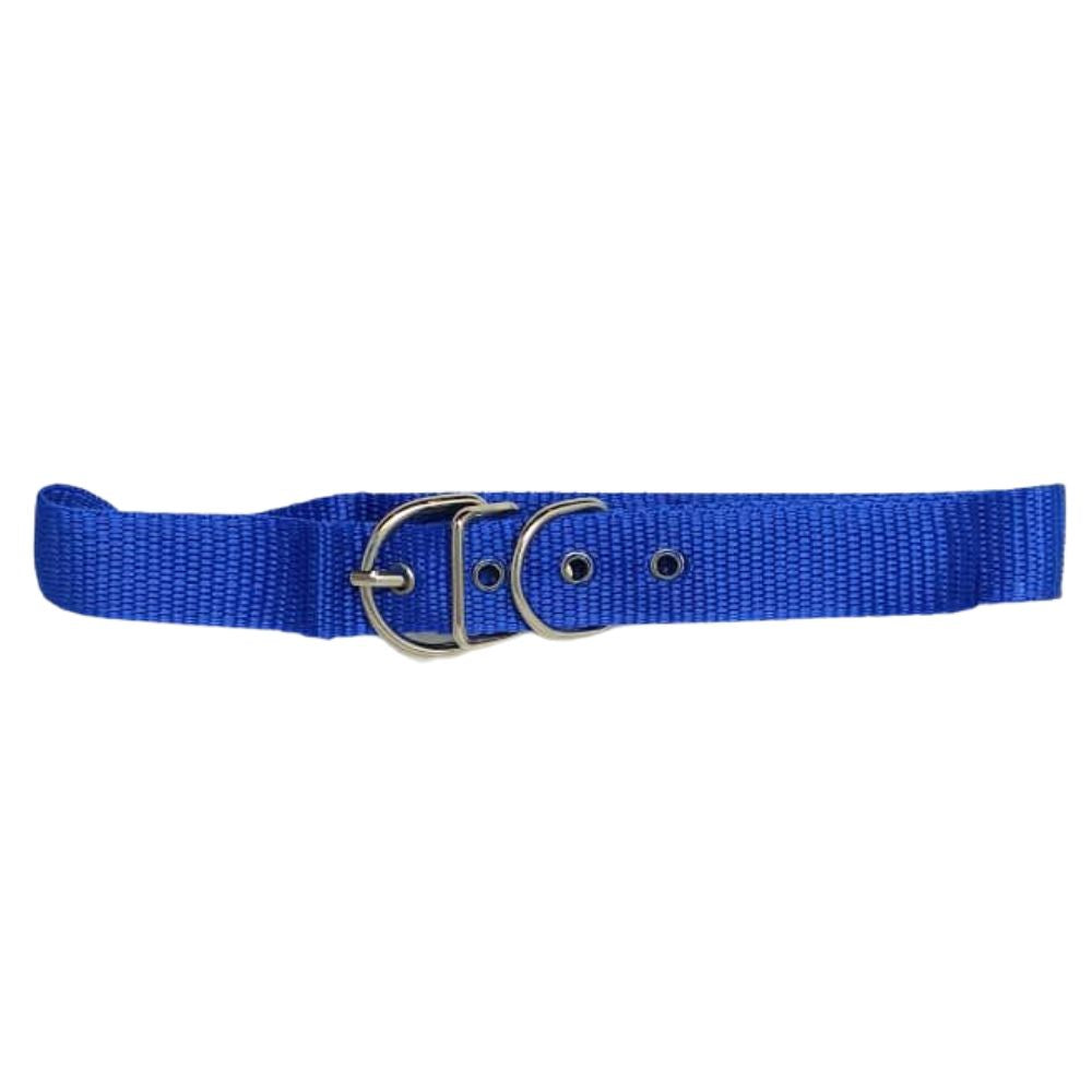 Collar para Perro 57cm