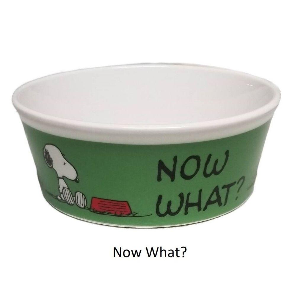 Bowl de Comida para Mascota Snoopy Now What? 13cm - Madison Center