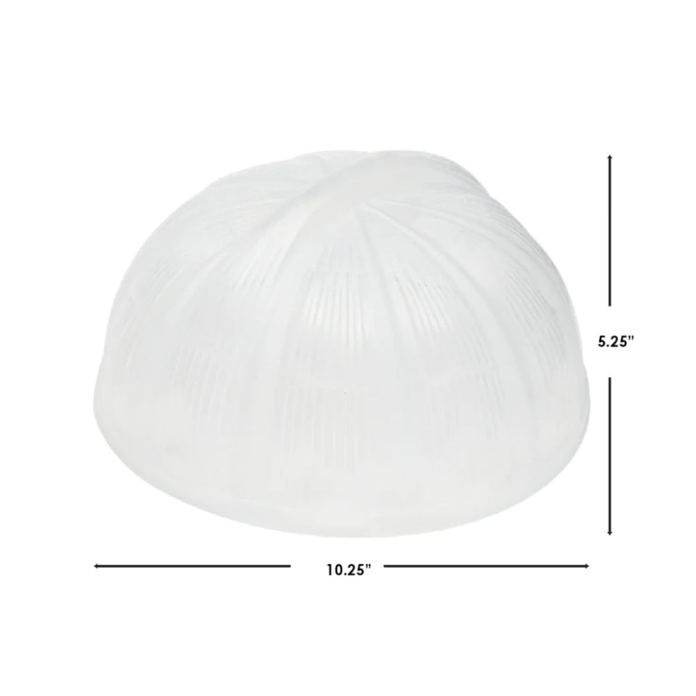 Tapa De Plastico Con Ventilación Para Plato De 25.4cm
