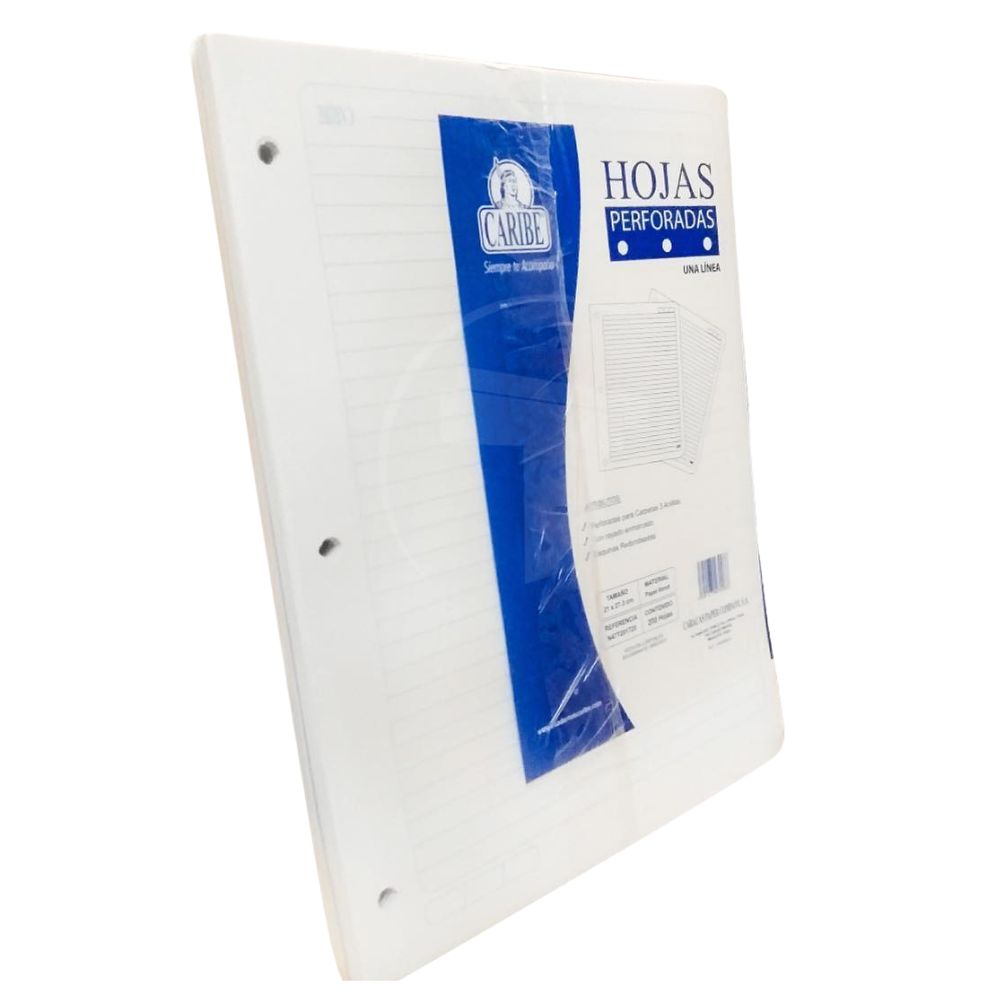 Hojas Perforadas Caribe Una Linea 100 Hojas