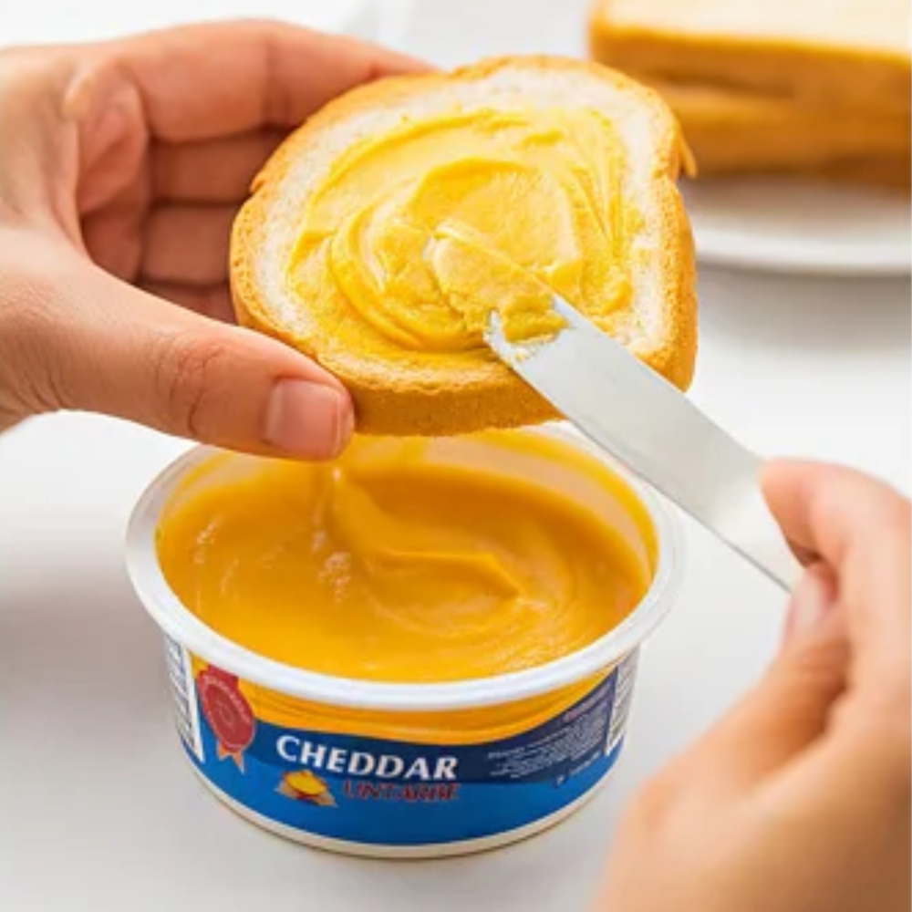 Queso Cheddar Untable Tina Del Castillo 250gr
