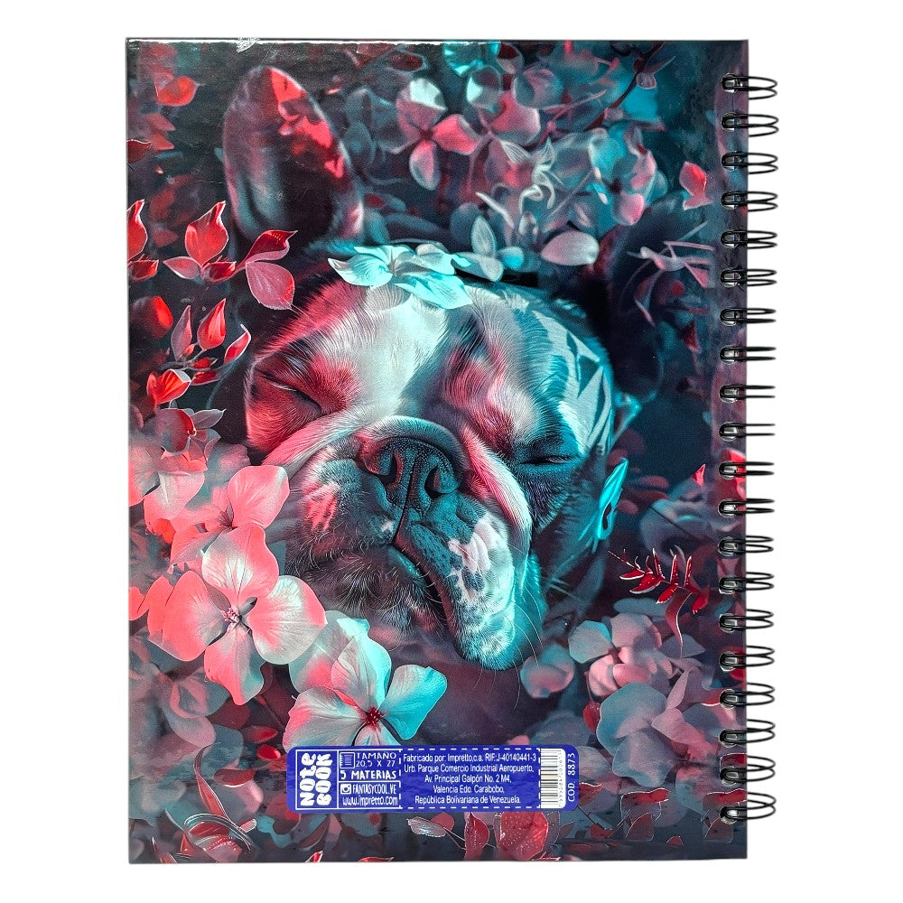 Fantasy Notebook Cuaderno 5 Materias Tapa Dura Diseños Surtidos