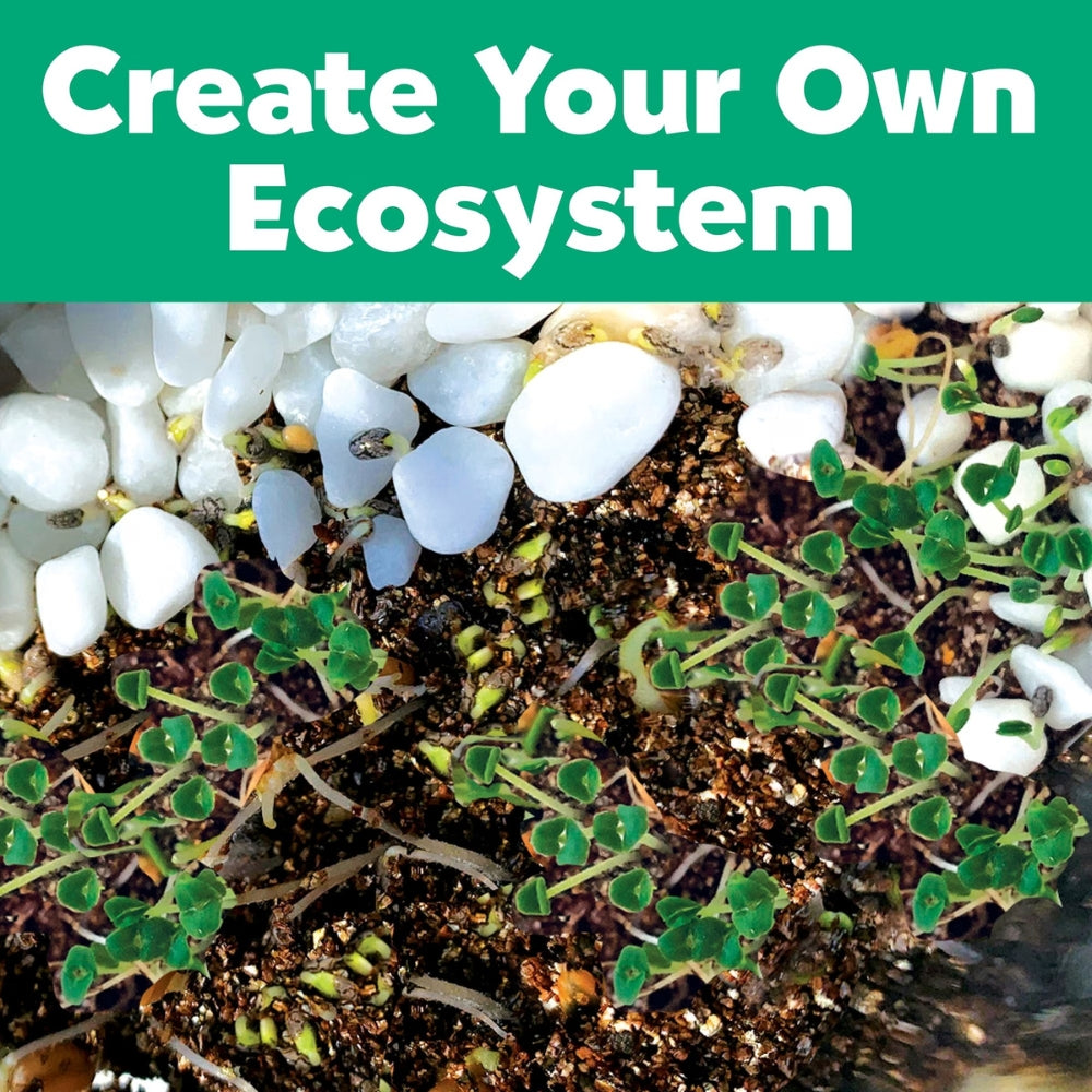 Creativity For Kids Grow'n Glow Terrarium Contents 6+
