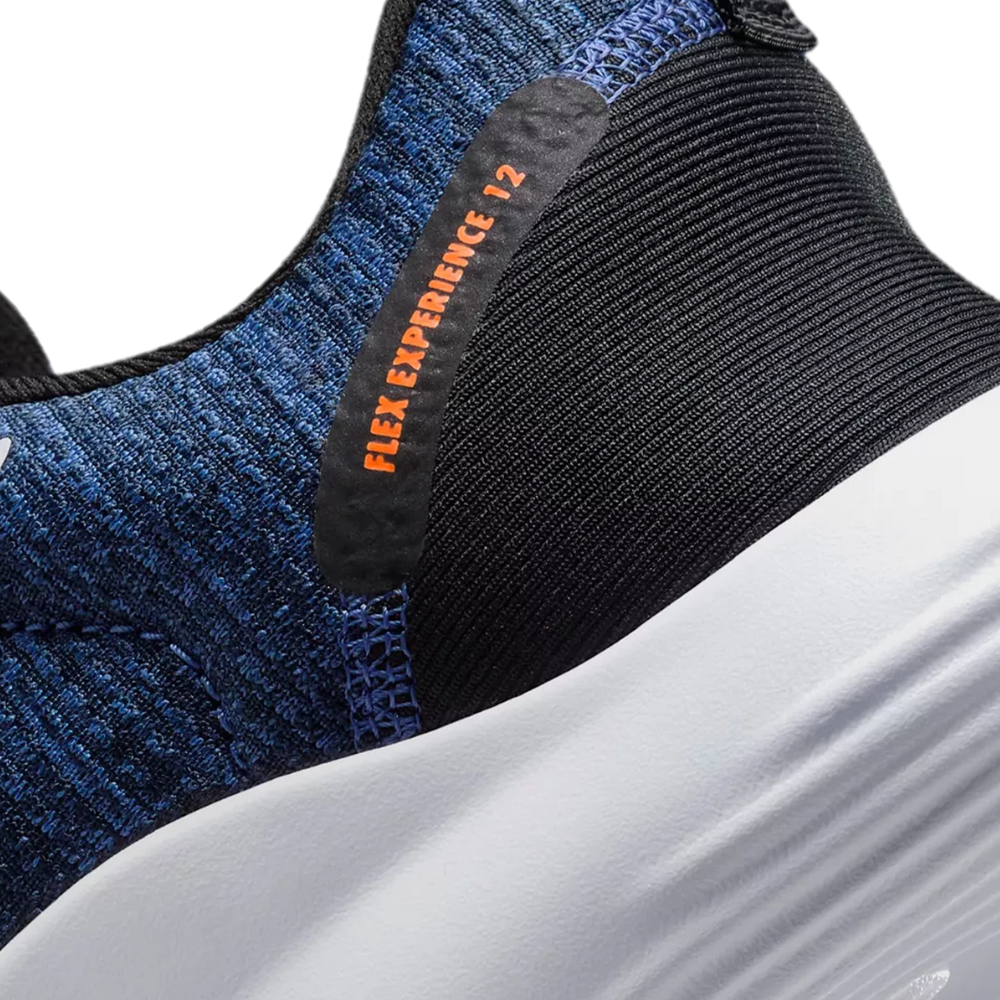 Nike Flex Experience RN 12 Zapatos para Caballeros