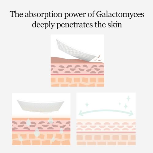 Mixsoon Galactomyces Toner Pad Pure Ingredient Oriented Skincare Brand 210ml