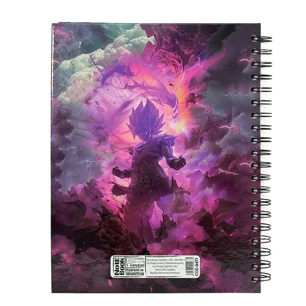 Paramo Notebook Libreta 5 Materias Diseños Surtidos