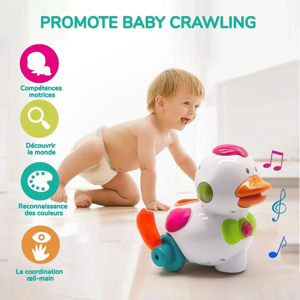Duby Sing'n Waddle Duck 9m+