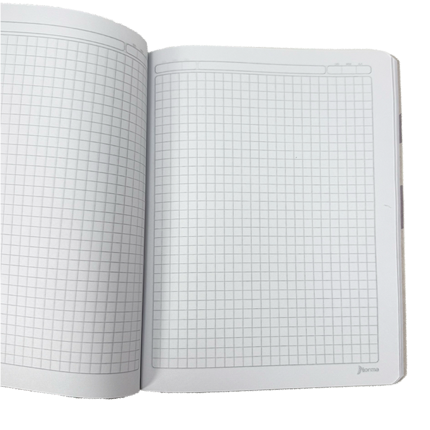 Norma Cuaderno Cosido Cuadriculado 100 Hojas Con Stickers Diseño No Rain No Flower