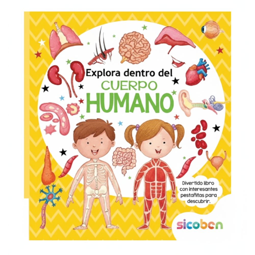 Libro De Pestañitas Curiosas Para Niños Explora Dentro Del Cuerpo Humano