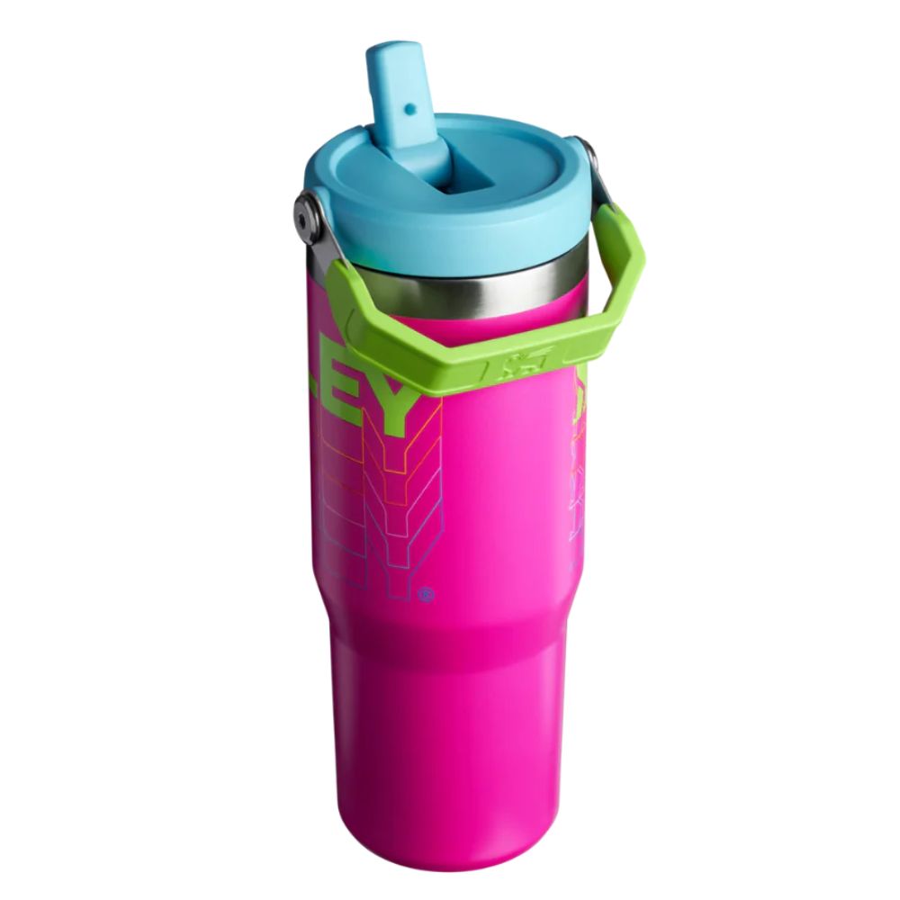 Stanley Termo The Iceflow Flip Straw Tumbler 30oz Vivid Violet Reverb