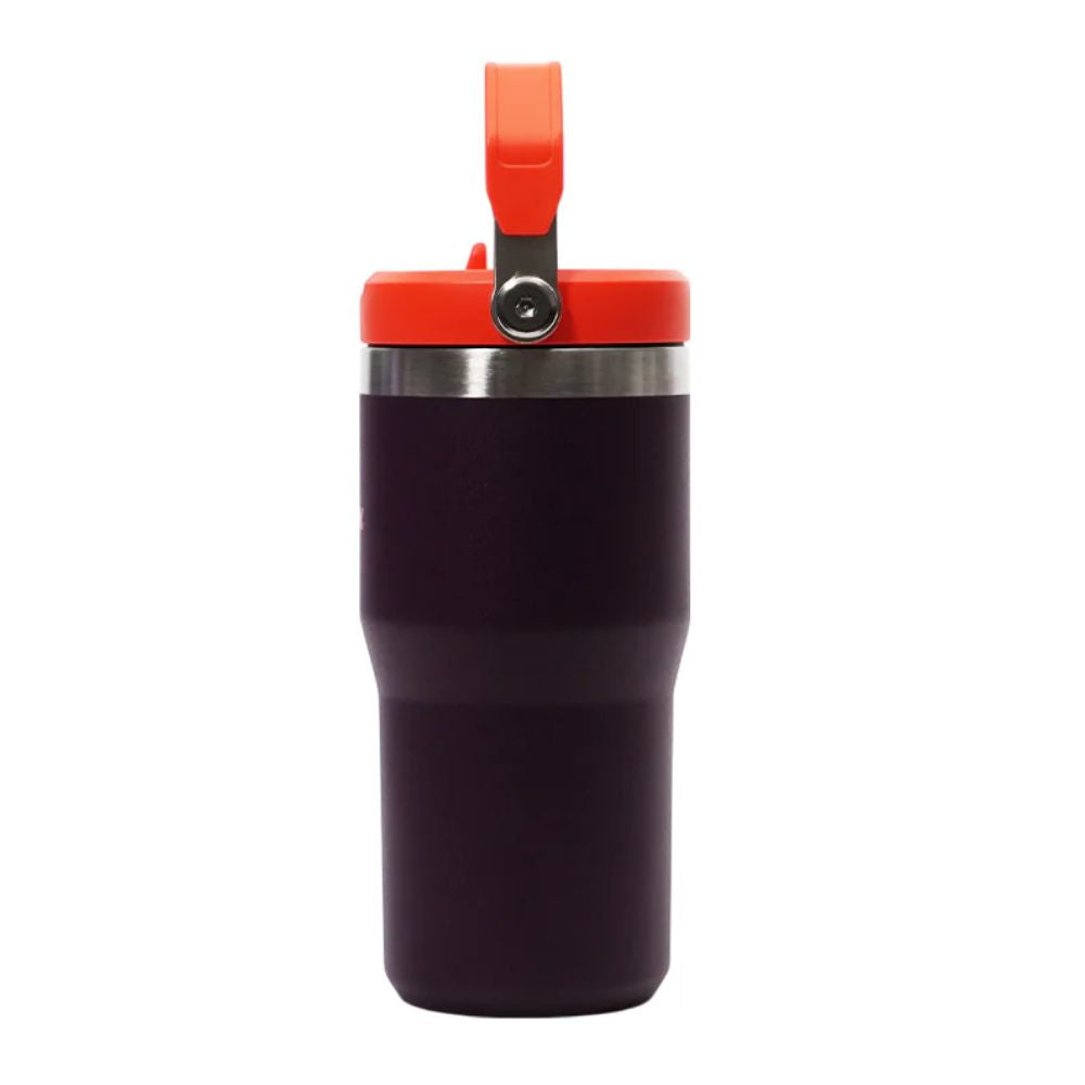 Stanley Termo Classic Flip Straw Tumbler Color Plum 20oz