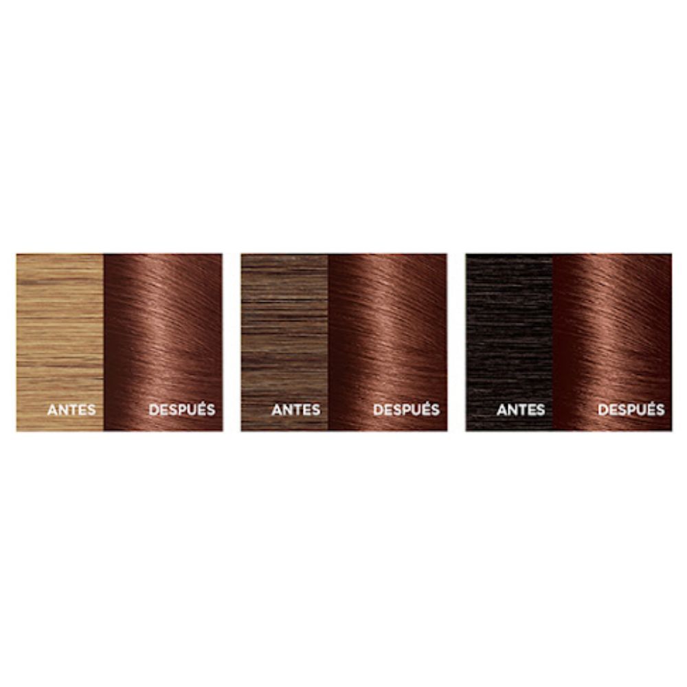 Tinte L'Oreal Excellence Creme 5.5 Castaño Claro Caoba