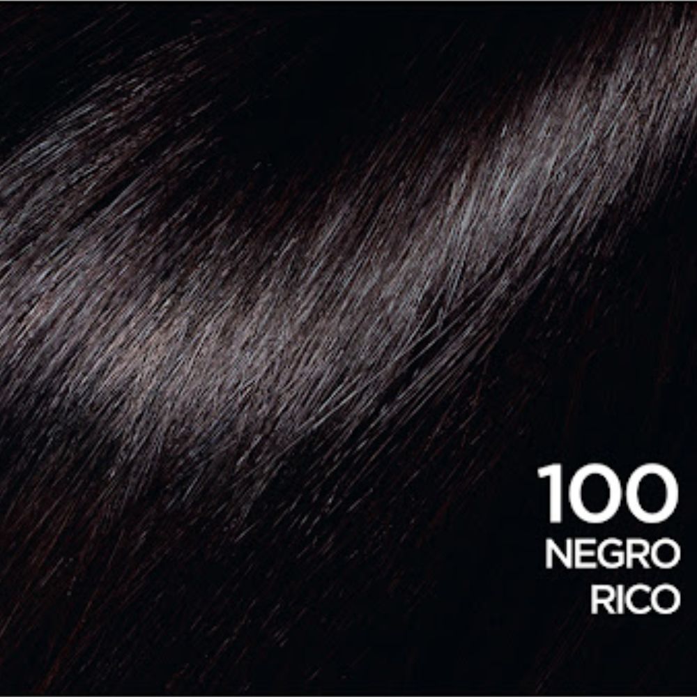 Tinte Loreal Nro 100 Negro Casting Creme Gloss Sin Amoniaco