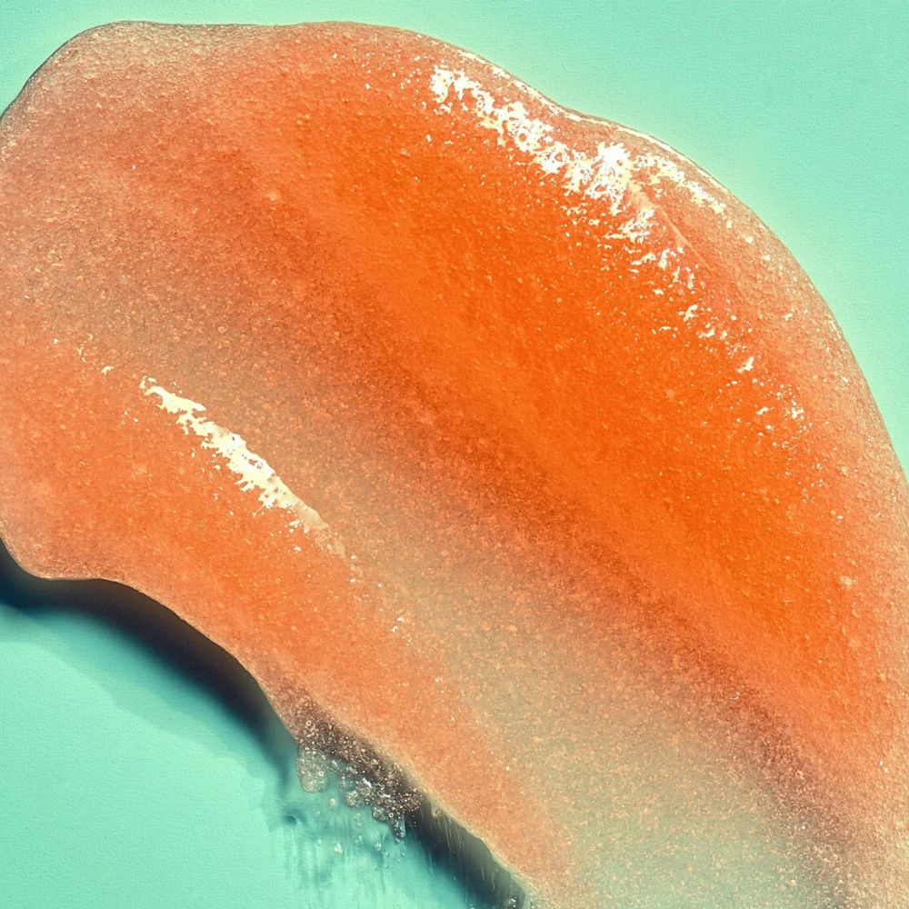 Tree Hut Bikini Reef Shea Sugar Scrub 510gr